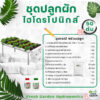 FG ชุดปลูกผักไฮโดรโปรนิกส์ 50 ต้น ขนาด 1.5 เมตร 5 ราง - Image 2