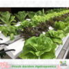 FG ชุดปลูกผักไฮโดรโปรนิกส์ 50 ต้น ขนาด 1.5 เมตร 5 ราง - Image 4
